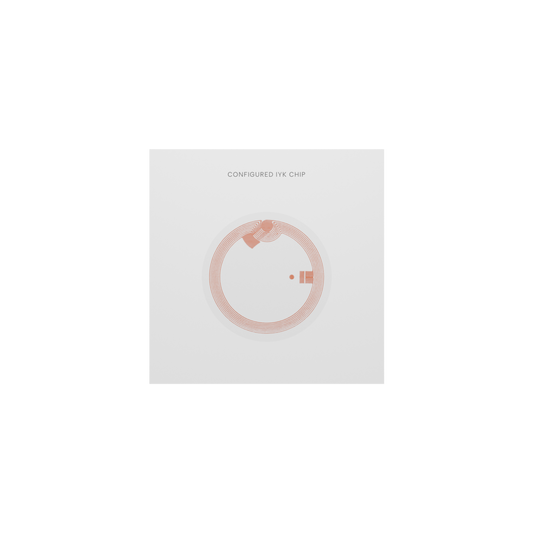 NFC Chip (25mm - v2 encoded - Disturbed)